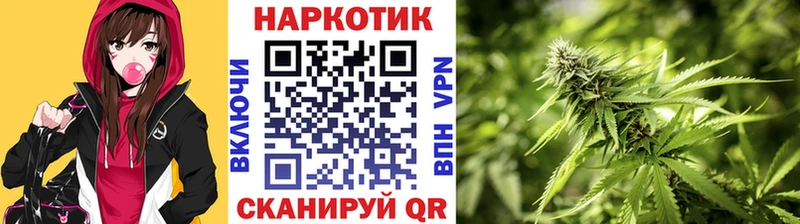 Виды наркотиков купить Каргополь Канабис Cocaine A-PVP ГАШ