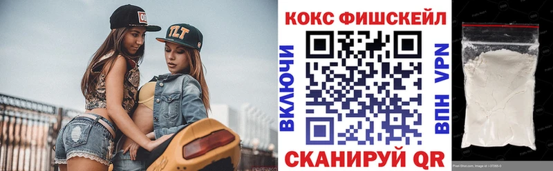 Cocaine FishScale  закладки  Каргополь 