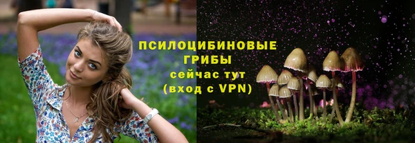 эйфоретик Абдулино