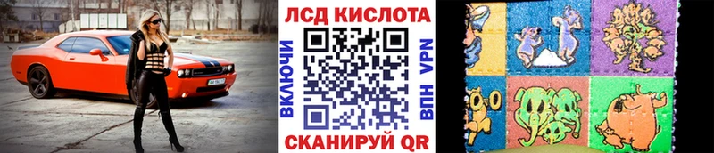 Марки N-bome 1,8мг  Каргополь 