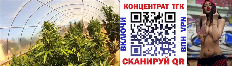 где купить   Каргополь  mega ссылка  Дистиллят ТГК гашишное масло 