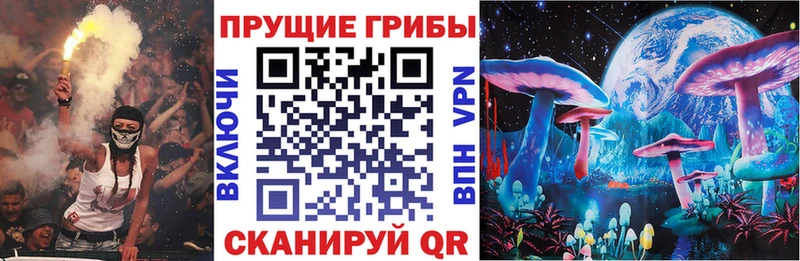 Псилоцибиновые грибы GOLDEN TEACHER kraken ссылки Каргополь купить закладку