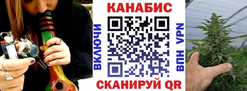 Канабис сатива  Каргополь 